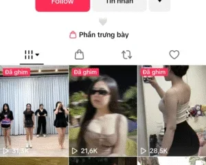 Tiktoker Lý Mạc Sầu bị Lục Triển Nguyên tung clip hot